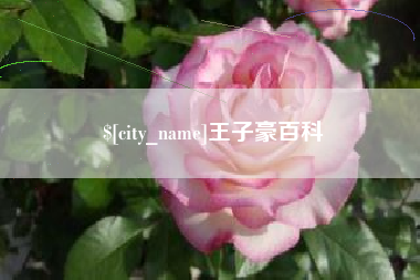 嘉善王子豪百科