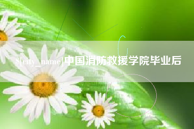 嘉善中国消防救援学院毕业后