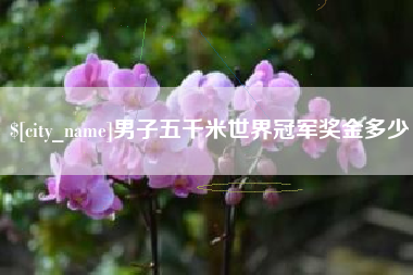 嘉善男子五千米世界冠军奖金多少