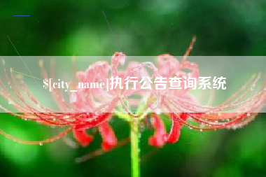 嘉善执行公告查询系统