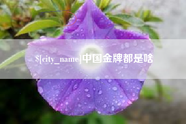 嘉善中国金牌都是啥