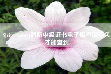 嘉善消防中级证书电子版查询多久才能查到