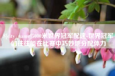 嘉善5000米世界冠军配速-世界冠军们往往能在比赛中巧妙地分配体力