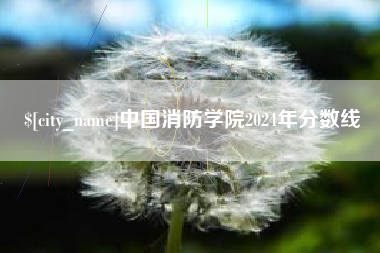 嘉善中国消防学院2024年分数线