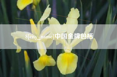 嘉善中国金牌包括