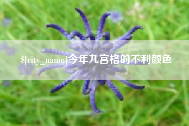 嘉善今年九宫格的不利颜色