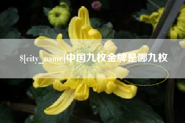 嘉善中国九枚金牌是哪九枚