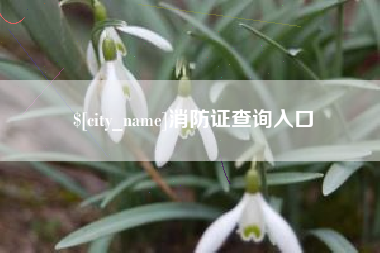 嘉善消防证查询入口