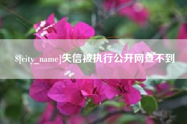 嘉善失信被执行公开网查不到