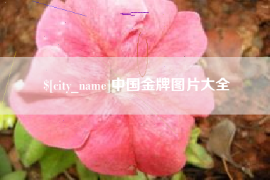 嘉善中国金牌图片大全
