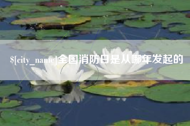 嘉善全国消防日是从哪年发起的