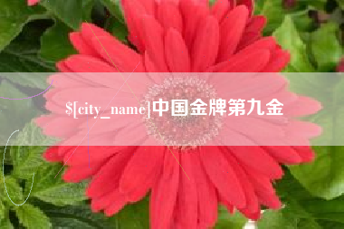 嘉善中国金牌第九金