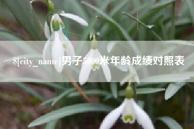 嘉善男子5000米年龄成绩对照表