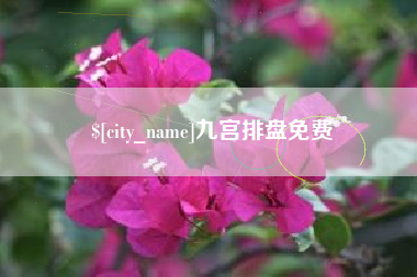 嘉善九宫排盘免费