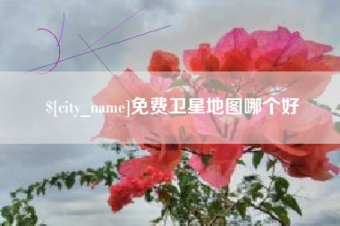 嘉善免费卫星地图哪个好