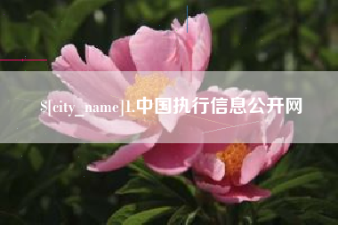 嘉善1.中国执行信息公开网