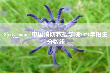 嘉善中国消防救援学院2024年招生分数线