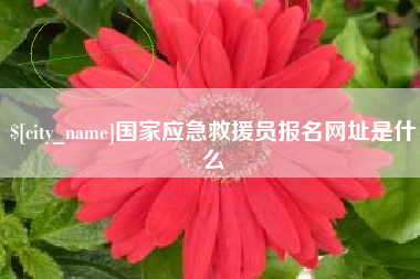 嘉善国家应急救援员报名网址是什么