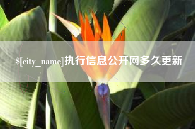 嘉善执行信息公开网多久更新
