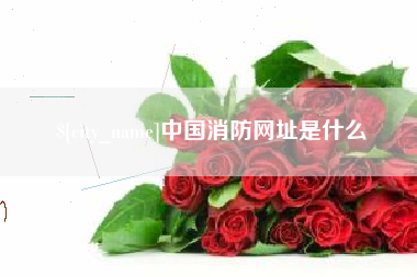 嘉善中国消防网址是什么