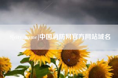 嘉善中国消防网官方网站域名