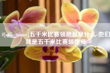 嘉善五千米比赛领跑员是什么-他们就是五千米比赛领跑员