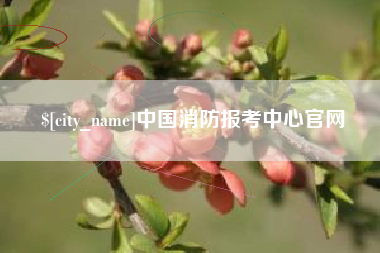 嘉善中国消防报考中心官网