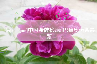 嘉善中国金牌榜2024巴黎奥运会最新