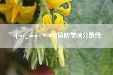 嘉善2020年消防学院分数线
