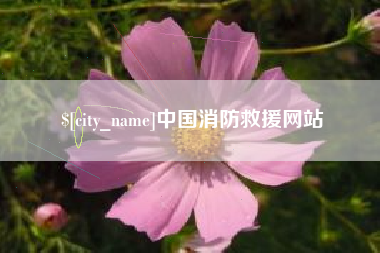 嘉善中国消防救援网站