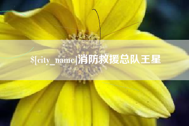 嘉善消防救援总队王星