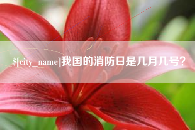 嘉善我国的消防日是几月几号？