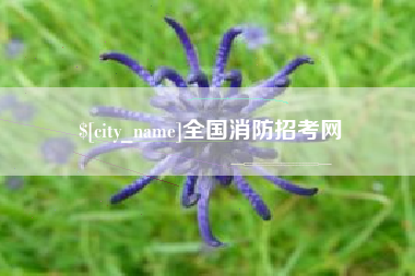 嘉善全国消防招考网