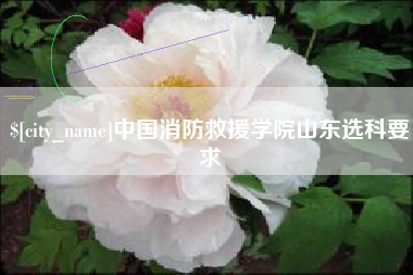 嘉善中国消防救援学院山东选科要求