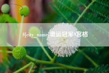 嘉善奥运冠军9宫格