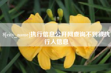 嘉善执行信息公开网查询不到被执行人信息
