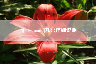 嘉善九宫详细说明