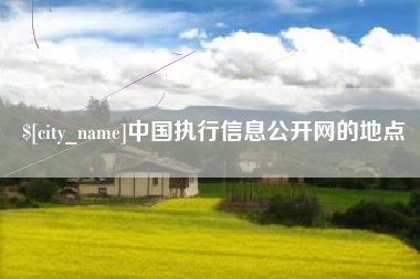 嘉善中国执行信息公开网的地点