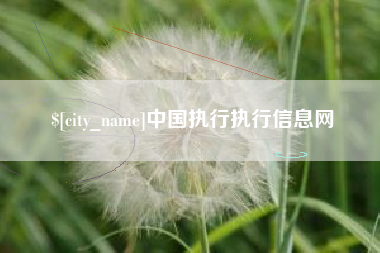 嘉善中国执行执行信息网