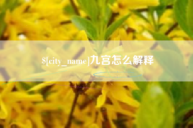 嘉善九宫怎么解释