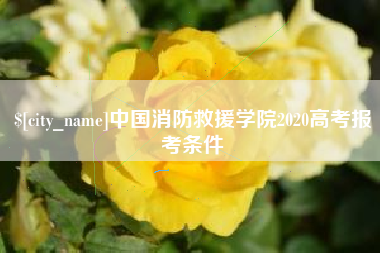 嘉善中国消防救援学院2020高考报考条件