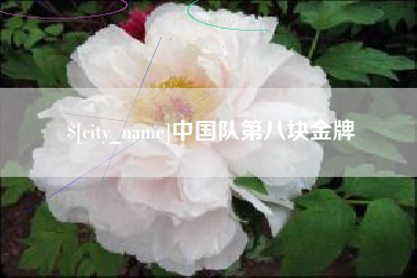 嘉善中国队第八块金牌