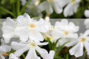 嘉善579九宫格如何排