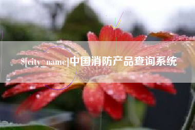 嘉善中国消防产品查询系统
