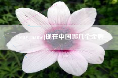 嘉善现在中国哪几个金牌