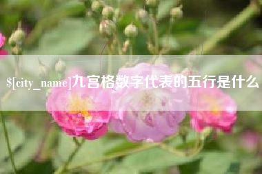 嘉善九宫格数字代表的五行是什么