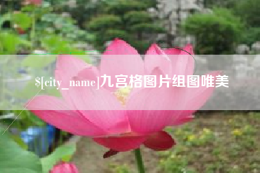 嘉善九宫格图片组图唯美