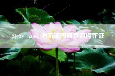 嘉善消防证国网查询操作证