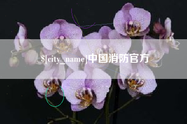 嘉善中国消防官方