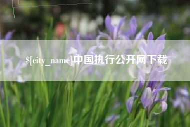 嘉善中国执行公开网下载